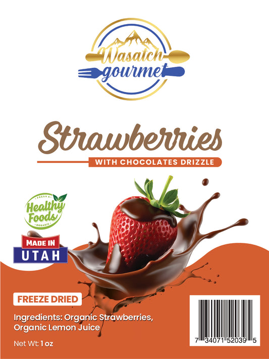 Organic Freeze Dried Strawberries W/ Chocolate Drizzle (Organic)